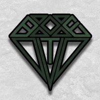 Black Emerald Tactical(@BlackEmeraldGrp) 's Twitter Profile Photo