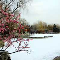 Delong Liu, MD, PhD (@jhoeditor) 's Twitter Profile