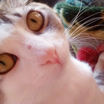 63unDG1OnPM6KqS's profile picture. モッピー専用
徳島住み　19歳