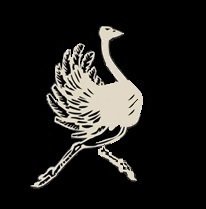 OstrichTechCgy's profile picture. Ostrich Technologies is about providing custom tailored IT solutions for your business -- access to Professional IT Services -- that's what we do.