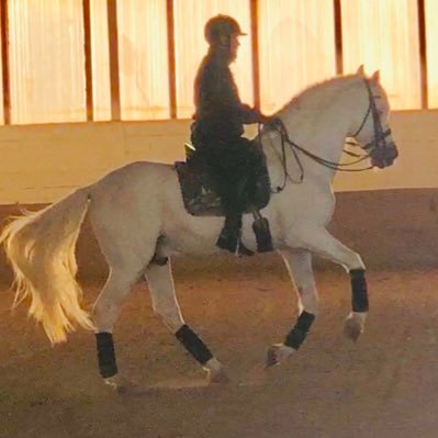 cabezas_arias's profile picture. Finding new sustainable business model and supporting spanish turf. Descubriendo modelos de negocio sostenibles y apoyando al turf español.