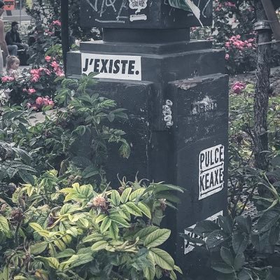 Social Media Explorer ✦ Jongle avec les algorithmes et les hashtags entre deux Dinosaurus !