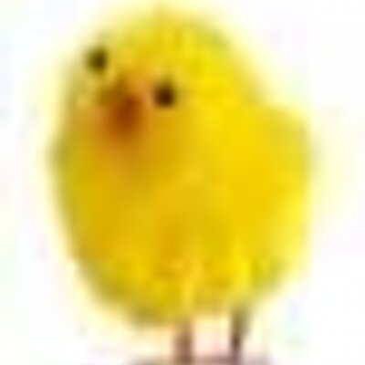 Zuganaut's profile image