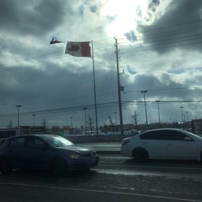 stringwinder1's profile picture. 