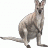 JohnWebbElem's profile image