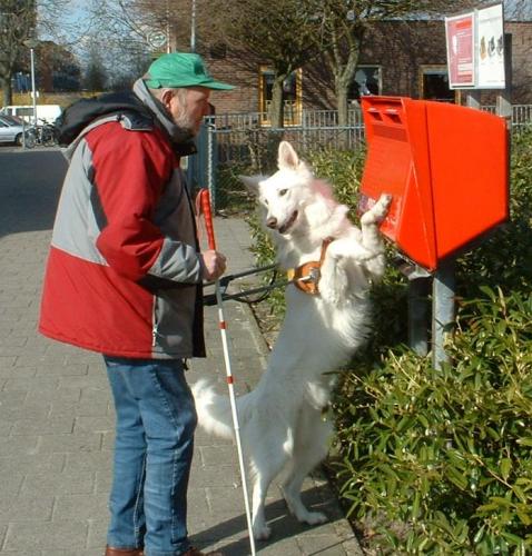 Blind. Geleidehondgebruiker. Voorzitter wijkplatform. Eindredacteur Wijkkrant.