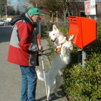 Harrie de Keijser (@ilcesaro) 's Twitter Profile