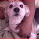 Sandie Bailey - @SandiRose18 - Twitter