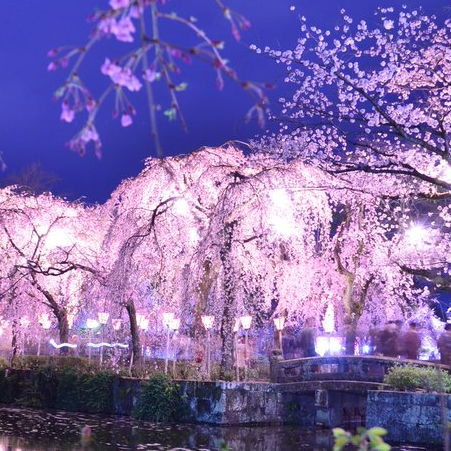 初めまして、動物・音楽・戦闘機・花火・？　に
興味ある中年オヤジです ♡
よかったら、仲良くしてください ♡

勧誘等に関するご返答、フォローは、出来ませんのでご理解お願いします。