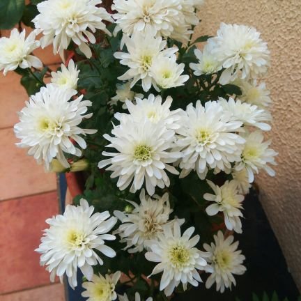 JaidevPreethi's profile picture. Educator, Academician, Primary School Supervisor, Bharat Mata ki Jai