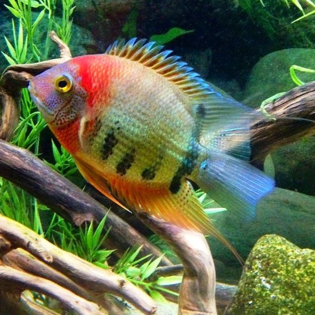 MV_Aleksandr's profile picture. 😀