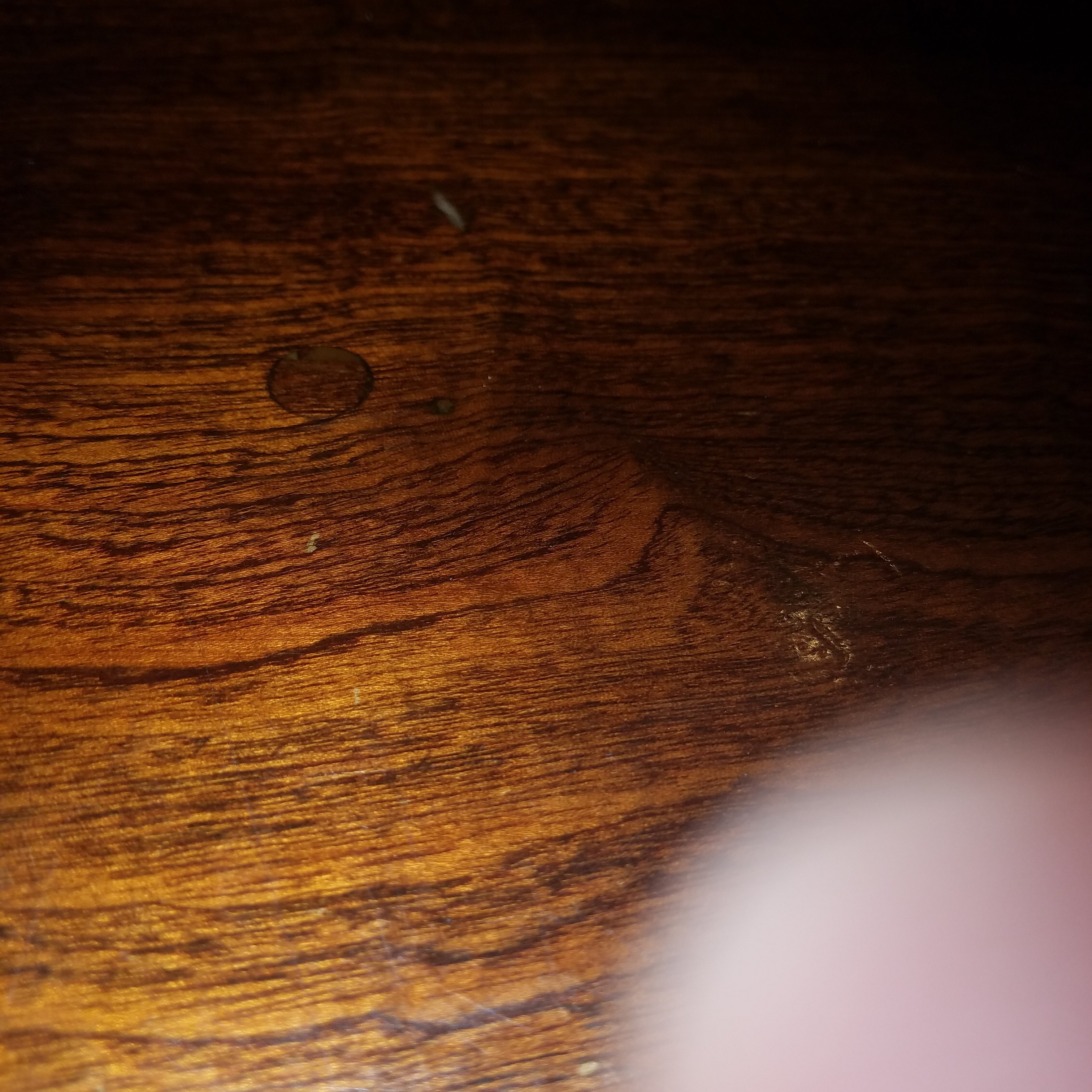 cprcellnanuet's profile picture. Yo yo yo