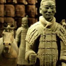 netcup163's profile picture. When I arrived in the world,I never thought of leaving alive!