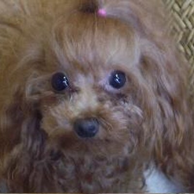 ひろみ