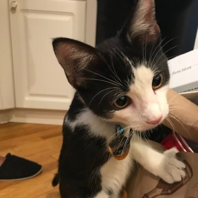 pinksapphire91's profile picture. 