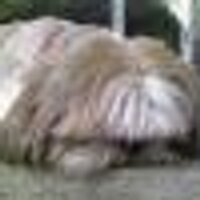 martysiederer (@martysiederer) 's Twitter Profile