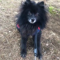 みあ。 (@reo_0519) 's Twitter Profile Photo