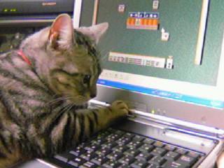 smokee60's profile picture. 日本の製薬企業で臨床開発に関する仕事しています。日本の治験業界の活性化のために語り合いましょう!!