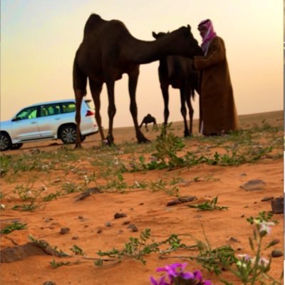 m0555999's profile picture. 