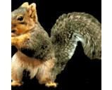 Ed Yarbrough - @egyarbrough - Twitter