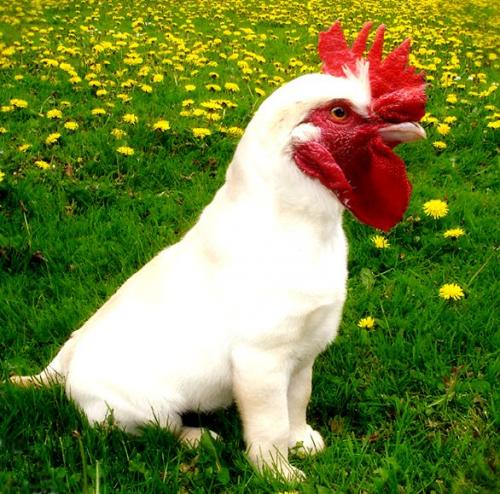 perigallo1's profile picture. Profesional Universitario con muchos años de graduado, dos Postgrados, libre ejercicio y asesor de empresa.