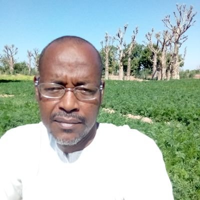 37 yr old a medical officer with a state hospital, Married, shuwa Arab by tribe, 6ft & islam by religion.