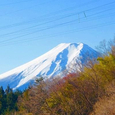 5vhvTZ4ynMYSijQ's profile picture. 