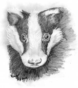 Badger Meter Profile