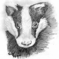 Badger Meter (@badgermeter) 's Twitter Profile