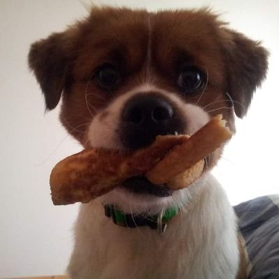 Anonymo77159323's profile picture. Non Practicing Heterosexual