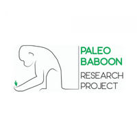 PaleoBaboon Research Project (@paleobaboon) 's Twitter Profile