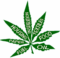 Hempreneur Dave