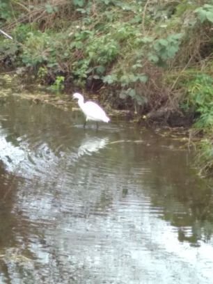 SarahBr73693908's profile picture. 