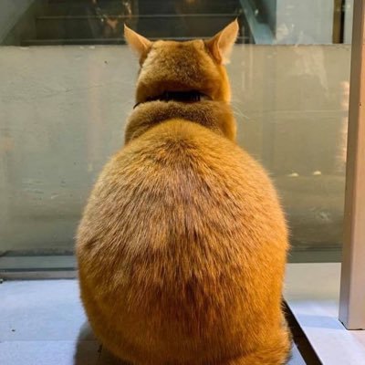 fycheung's profile picture. Clinical Oncologist