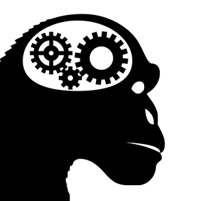 INTELLIGENT MONKEYさんのプロフィール画像