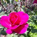 Erna Smith - @ErnaSmi41417461 - Twitter