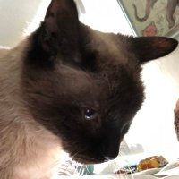Charlotte Leigh (@oharryschar) 's Twitter Profile Photo Charlotte Leigh (@oharryschar) 's Twitter Profile Photo