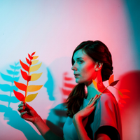 Ladylike Lily (@ladylike_lily) 's Twitter Profile