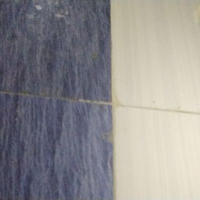 Darshan66459146's profile picture. 10u