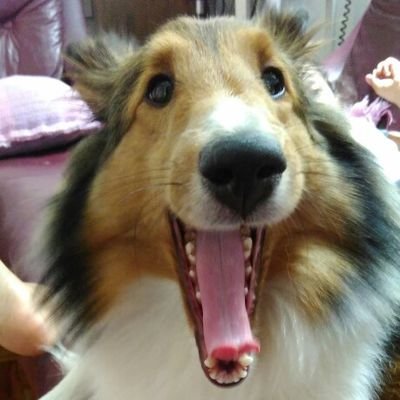 _erikamariano's profile picture. mestre em fazer certo as coisas erradas