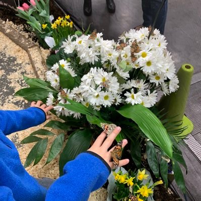 elianamikeysmom's profile picture. Life w/ tweens. Teacher of bigger people. aka your friendly neighborhood government teacher.