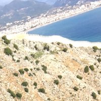 Murat (@murat33008743) 's Twitter Profile