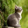 Lindaukc21's profile picture. 🏴󠁧󠁢󠁳󠁣󠁴󠁿   😎   🇪🇺
Bunny hugger

Love cycling 🚵‍♂️ and mountains⛰. Vegan!🌱#TofuEatingWokerati