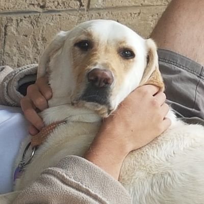 Dieselbul's profile picture. for my people my volk, 
Happily married not intrested in perverse behavior