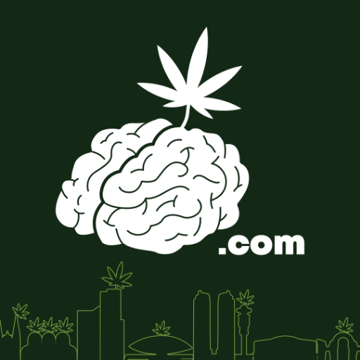 Conteúdo cannabico informativo. Fortalecendo o cenário cannábico de Curitiba/PR.