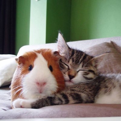 DParas7's profile picture. 