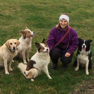 Pupnic's profile picture. Probably off doing stuff with my gorgeous dogs.