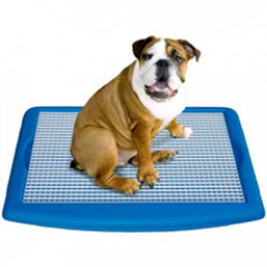 We have really cool training products, training books, and dog articles to help you with puppy potty training.