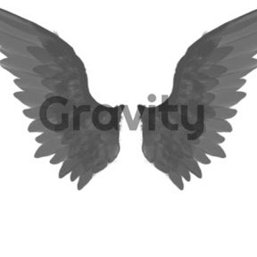 Greatest Fortnite clan OF ALL TIME! Follow to see daily updates on this clan. Subscribe to the clans YouTube: GraVity Clan.
