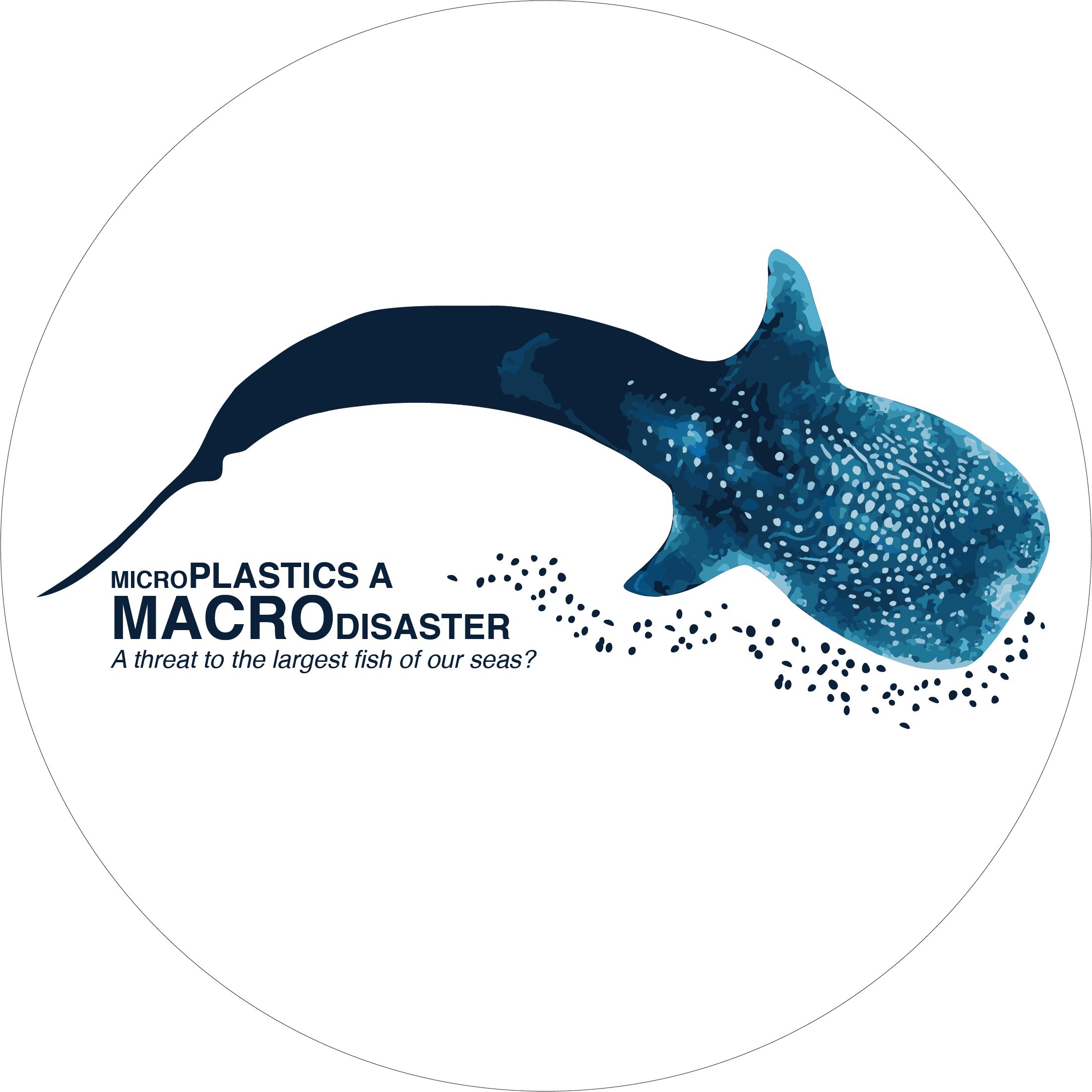 #microplastics a macro-disaster:a threat to the largest fishes of our seas?research & outreach project @AlinaMWieczorek @giulidonati11 @saveourseas